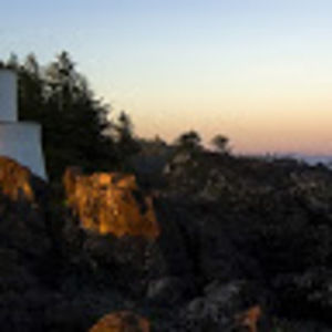 Meet your Posher, Aubie